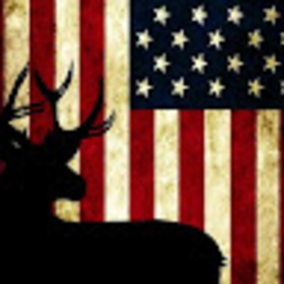 Meet your Posher, Lizza - Picture 1 of 1